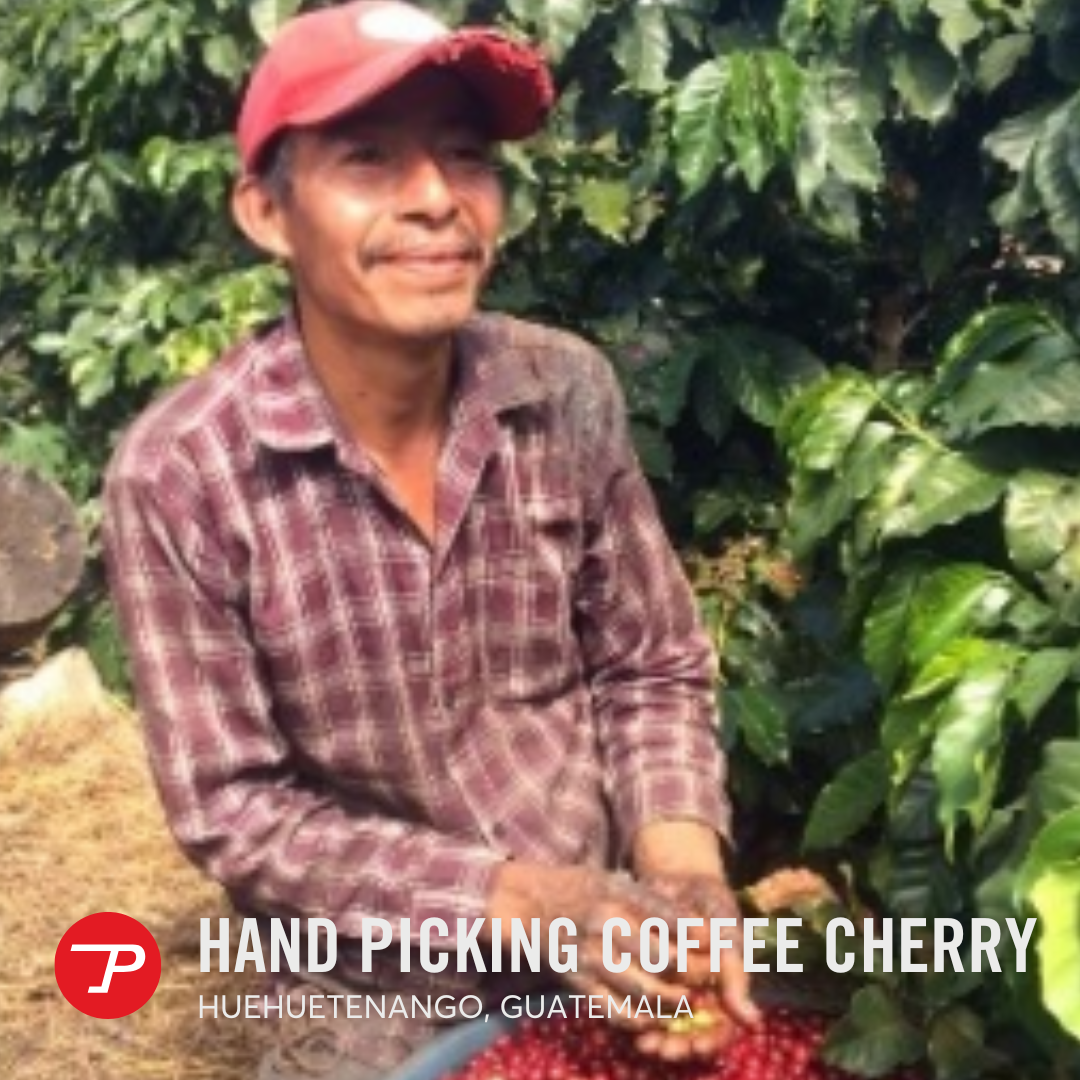 Guatemala Los Laureles