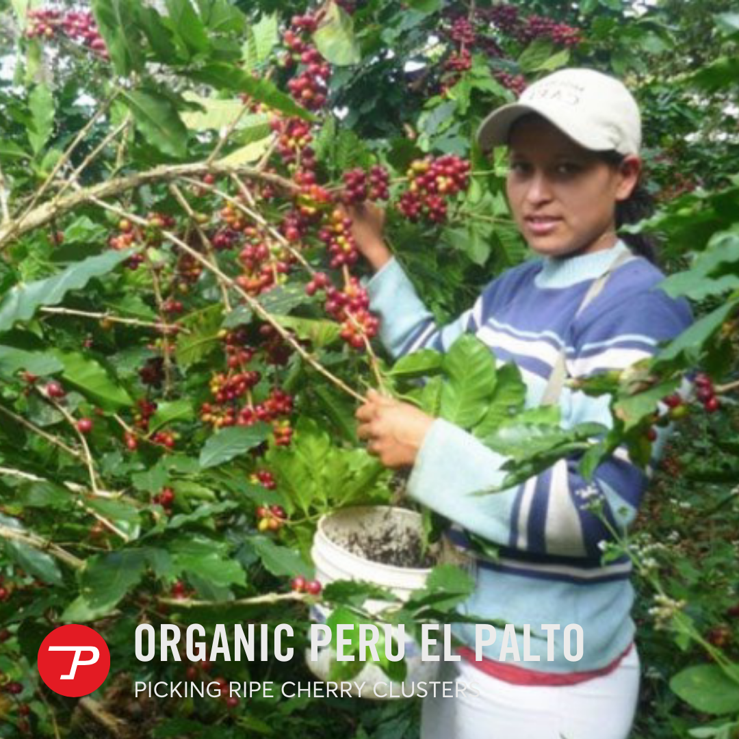 Organic Peru El Palto