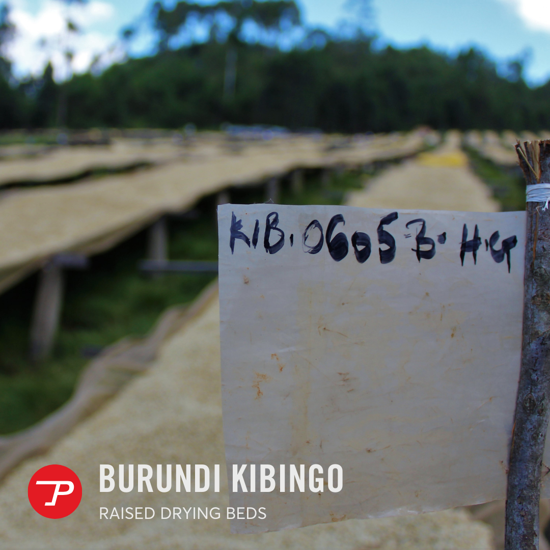 Burundi Kibingo