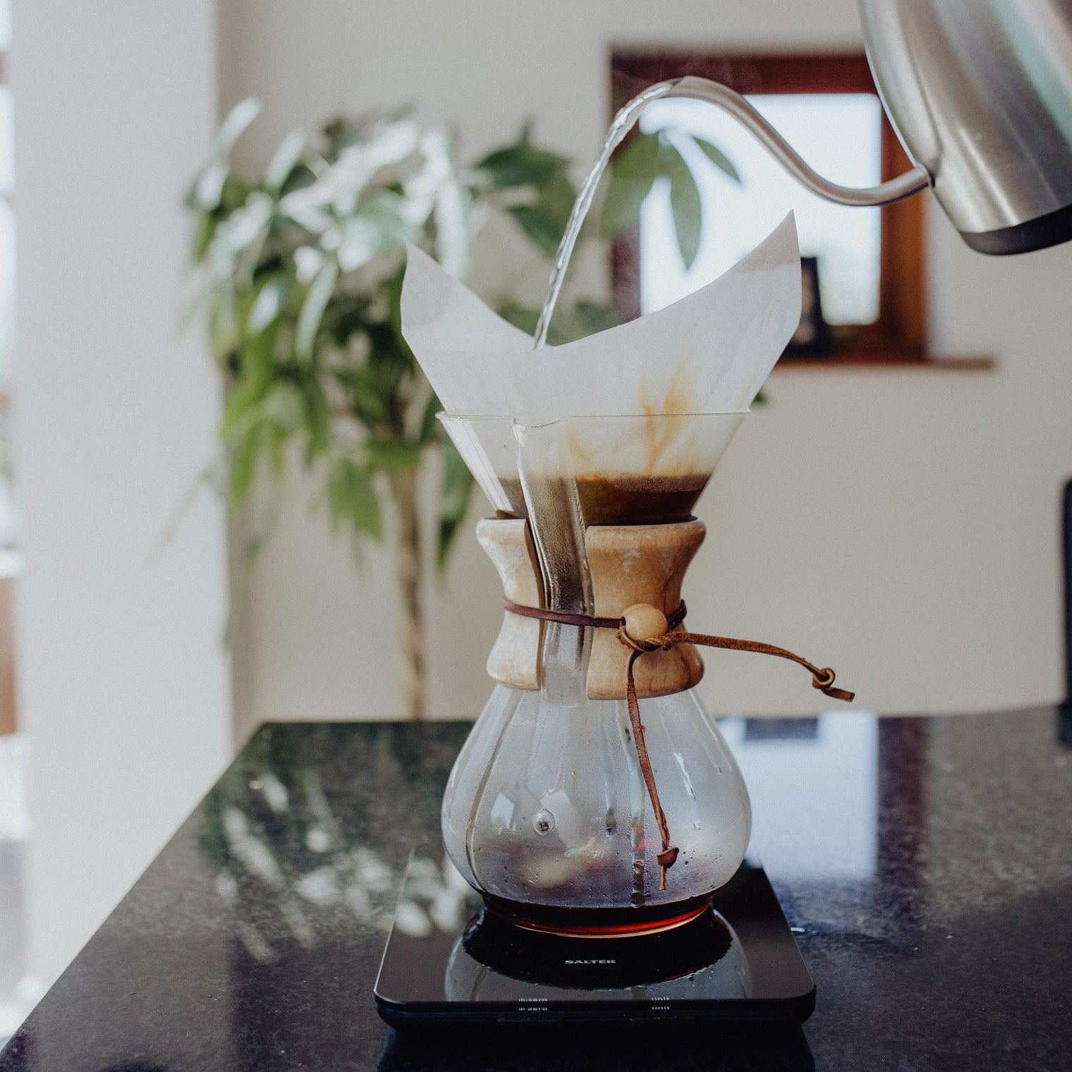 Chemex Coffee Maker 6 Cup