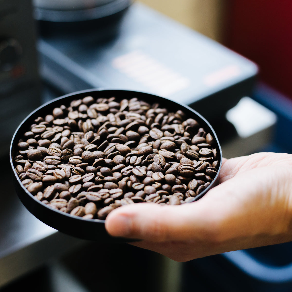 Signature Blends – Propeller Coffee Co.