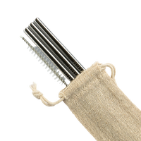 Toronto Eco Straw Bundle