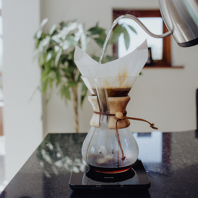Chemex Coffee Maker 8 Cup