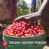Tanzania Zanzibar Peaberry